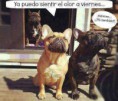 /album/fotogaleria/a1016347-637264112973531-1094809725-n-jpg/
